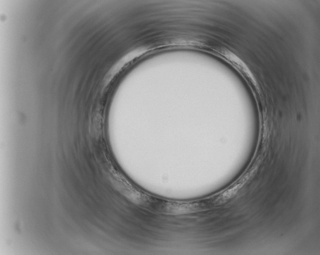 X0000086331019200704271937