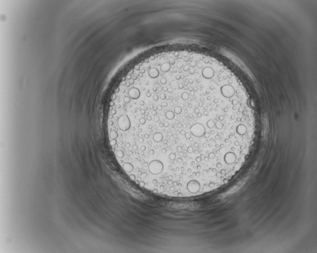 X0000086331021200704271937