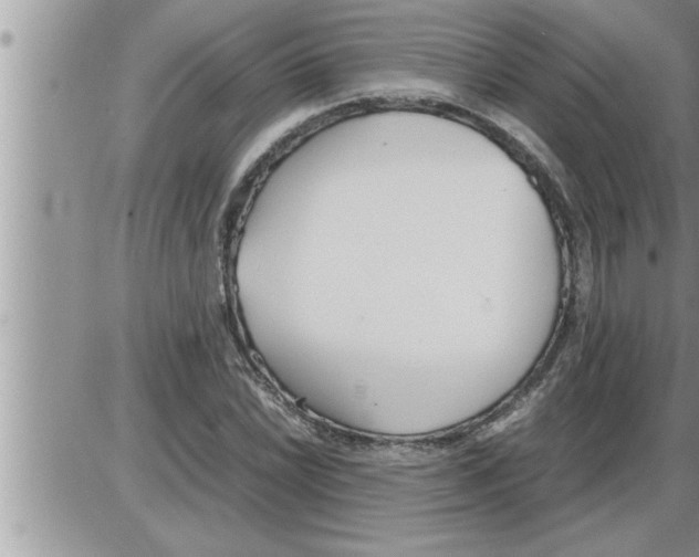 X0000086331022200704271937