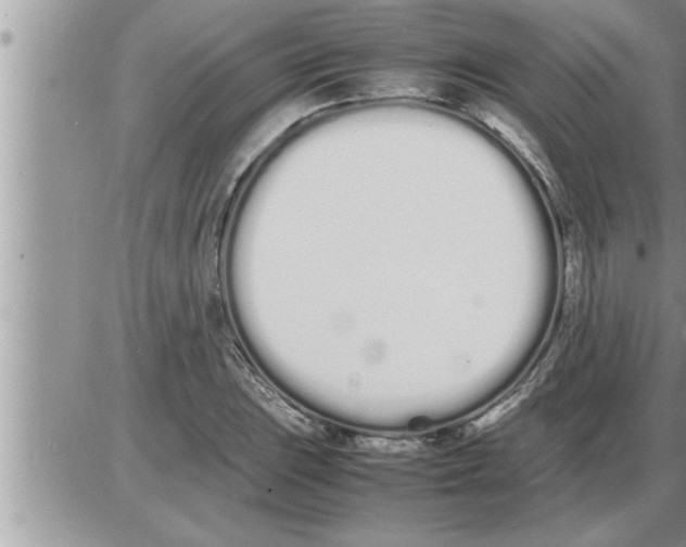 X0000086331023200704271937