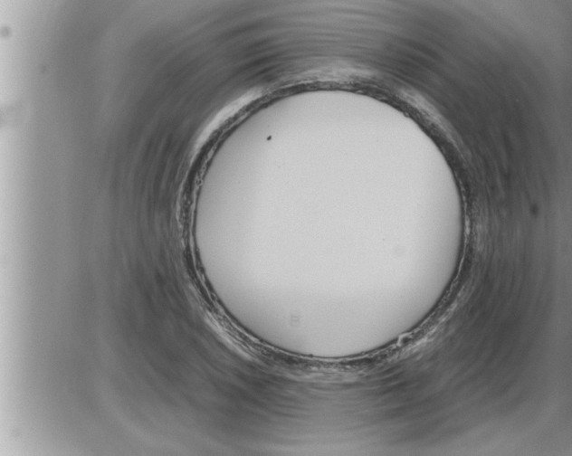 X0000086331026200704271937