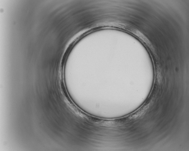 X0000086331028200704271937