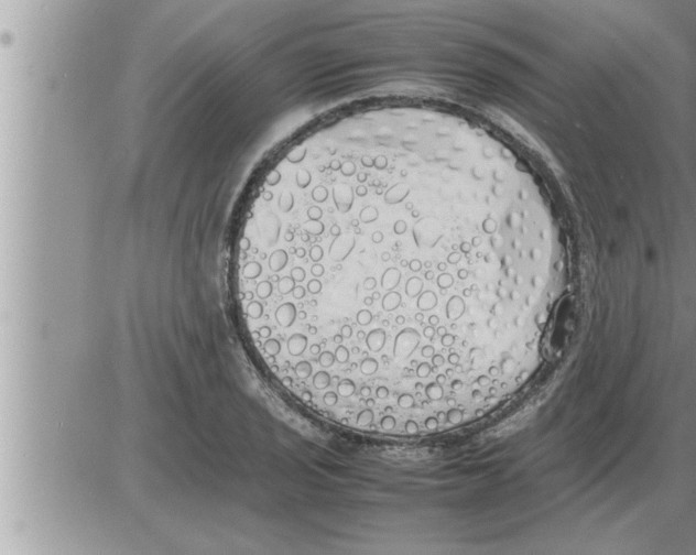 X0000086331029200704271937