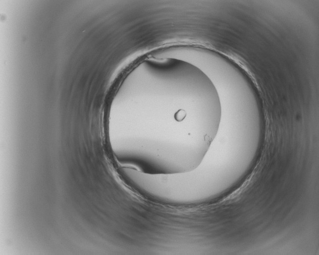 X0000086331030200704271937