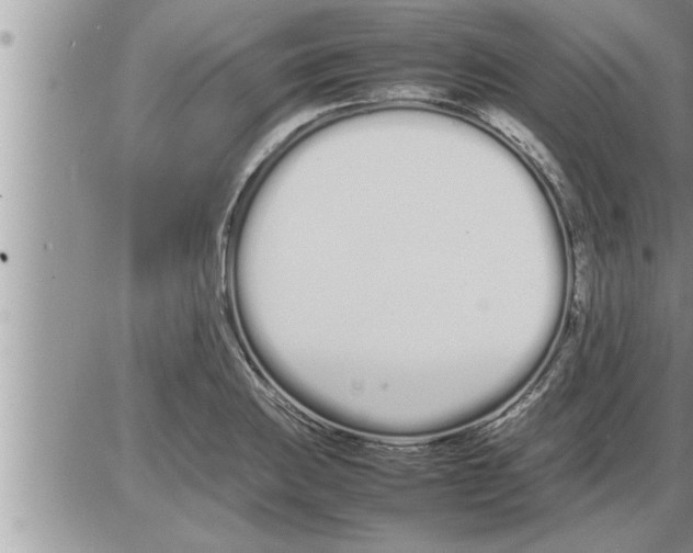 X0000086331031200704271937