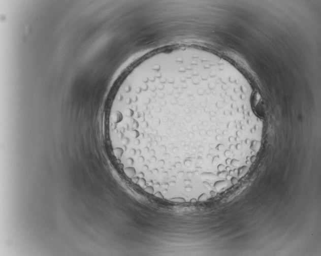 X0000086331032200704271937