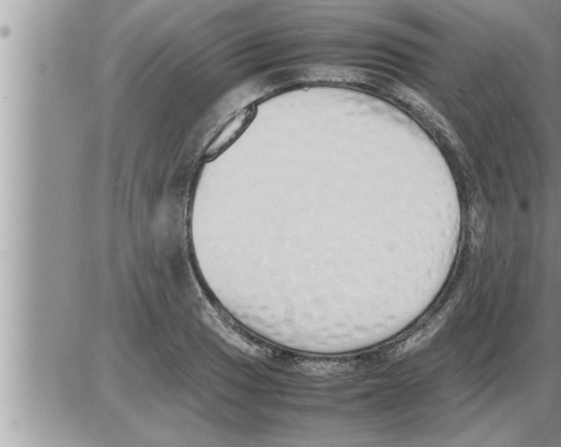 X0000086331033200704271937