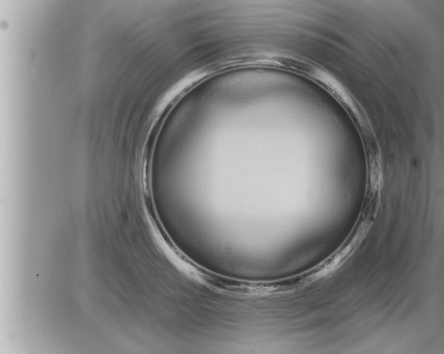 X0000086331034200704271937