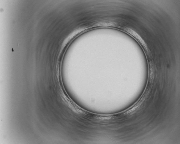 X0000086331035200704271937