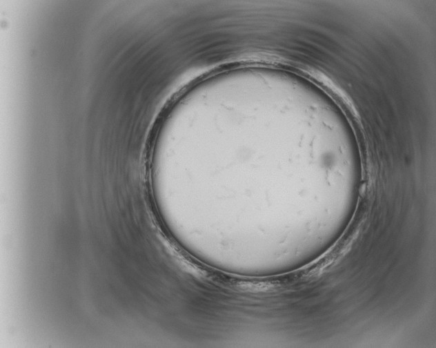 X0000086331037200704271937