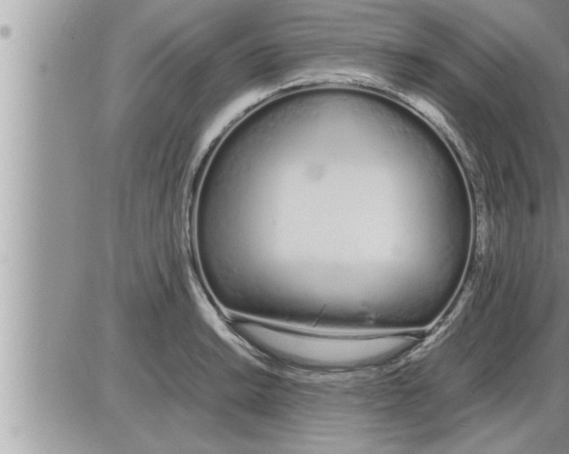 X0000086331038200704271937