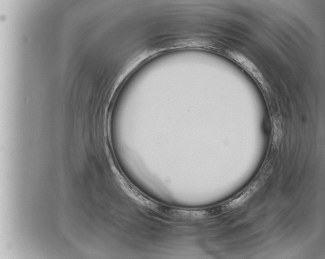 X0000086331039200704271937