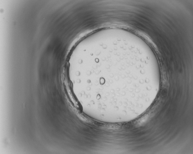 X0000086331040200704271937