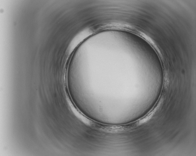 X0000086331042200704271937