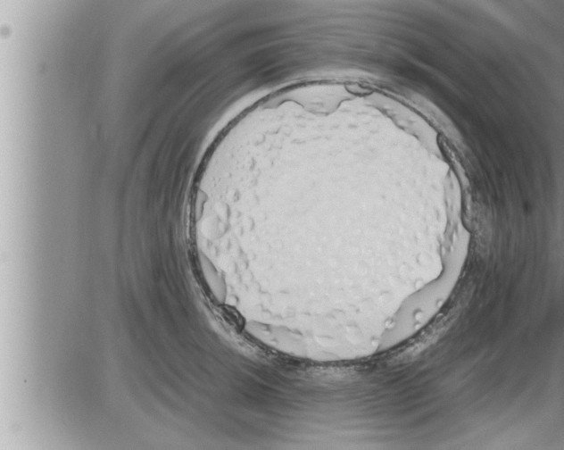 X0000086331044200704271937