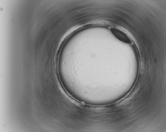 X0000086331045200704271937