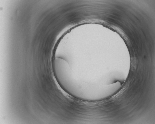 X0000086331046200704271937