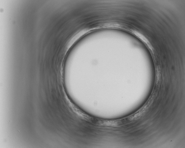 X0000086331047200704271937