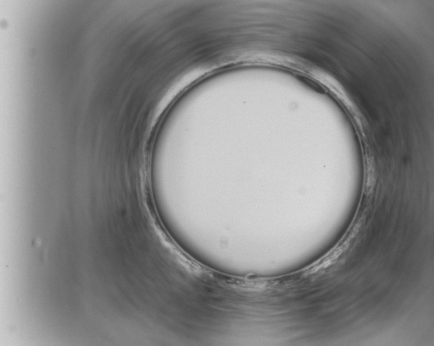 X0000086331048200704271937