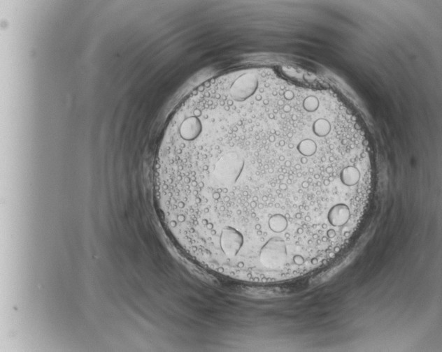 X0000086331049200704271937