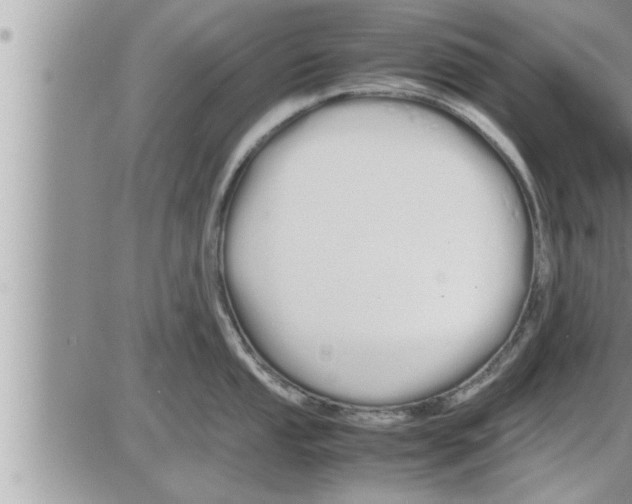 X0000086331053200704271937