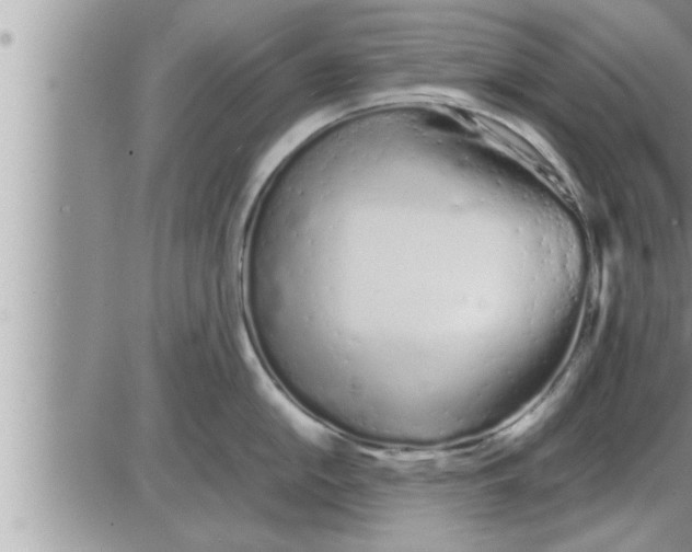 X0000086331054200704271937