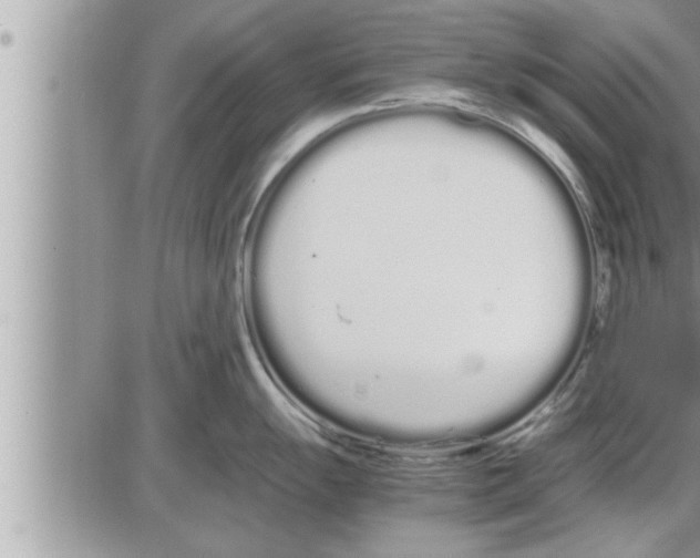 X0000086331055200704271937