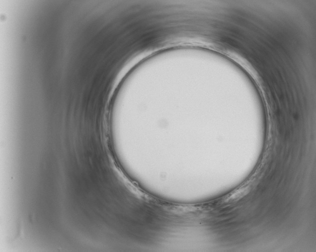 X0000086331056200704271937