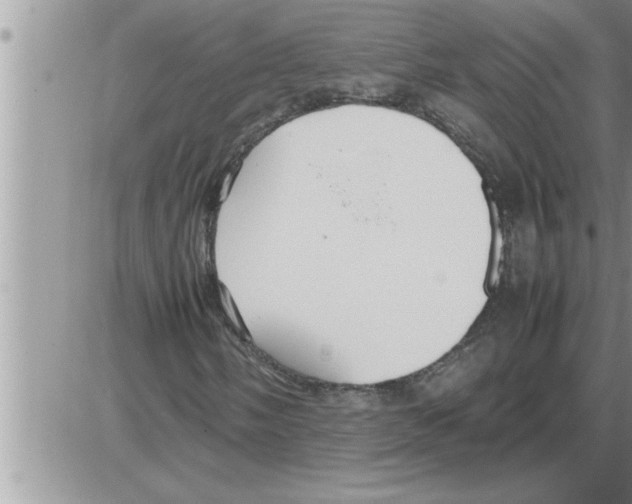 X0000086331058200704271937