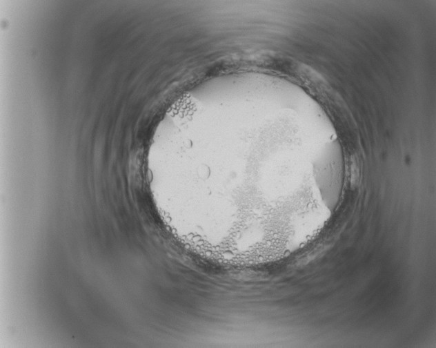 X0000086331059200704271936