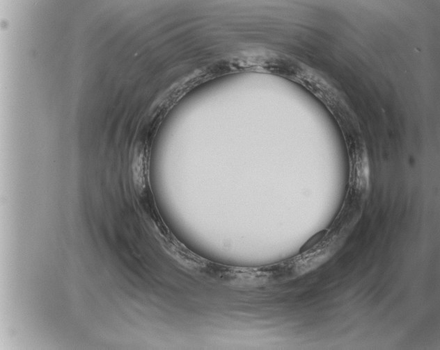 X0000086331060200704271936