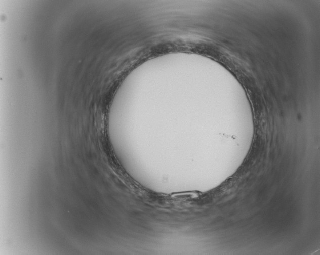 X0000086331061200704271936