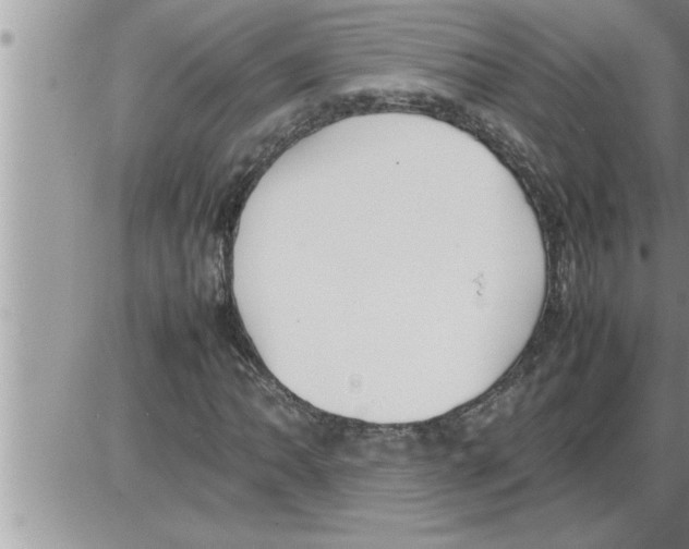 X0000086331062200704271936