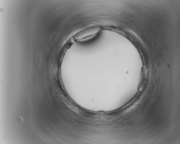 X0000086331065200704271936