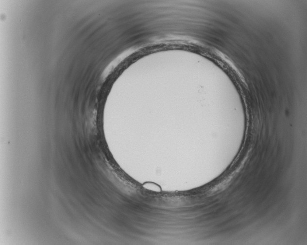 X0000086331066200704271936