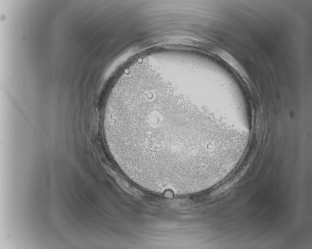 X0000086331067200704271936