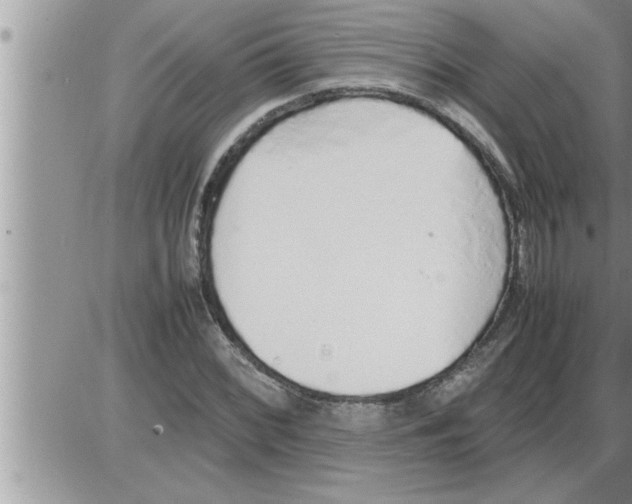 X0000086331068200704271936