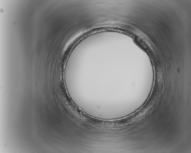 X0000086331069200704271936