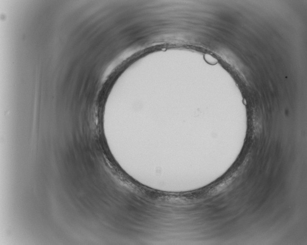 X0000086331070200704271936