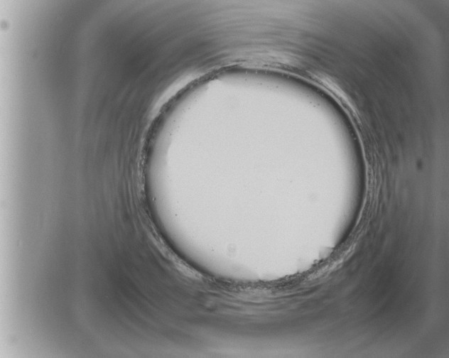 X0000086331071200704271936