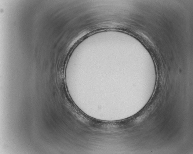 X0000086331073200704271936