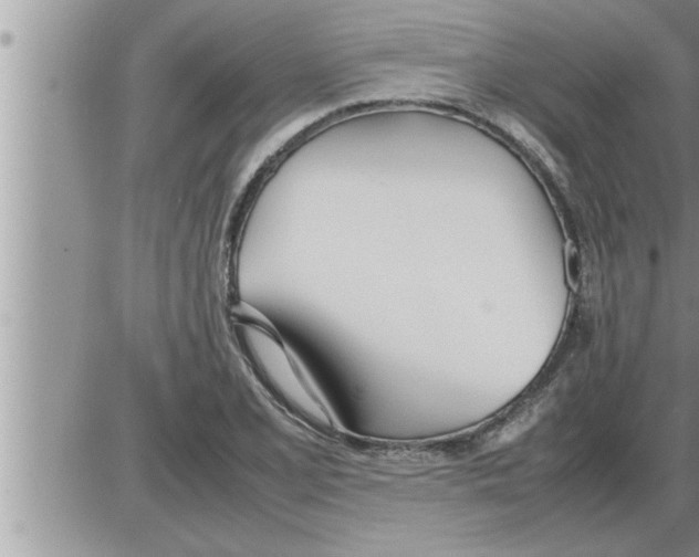 X0000086331077200704271936