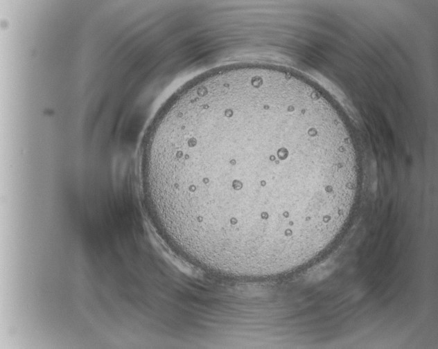 X0000086331078200704271936