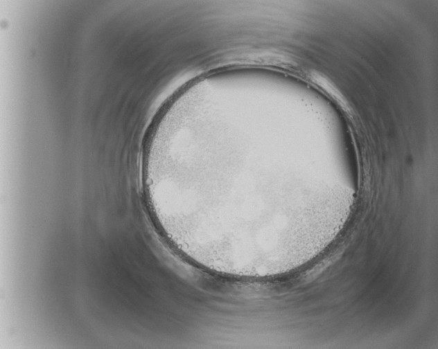 X0000086331079200704271936