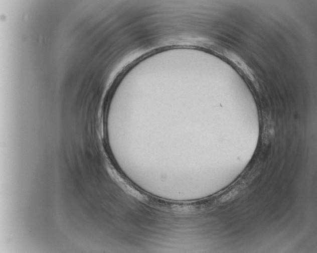 X0000086331080200704271936