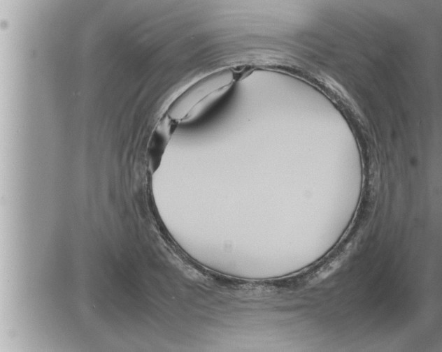 X0000086331081200704271936