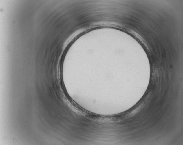 X0000086331082200704271936