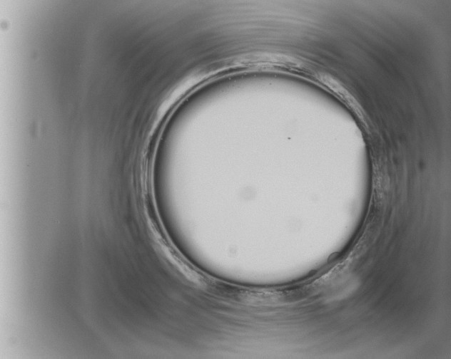 X0000086331083200704271936