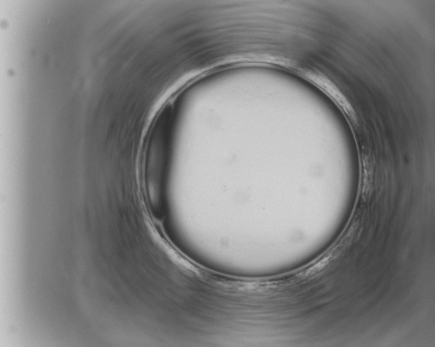 X0000086331084200704271936