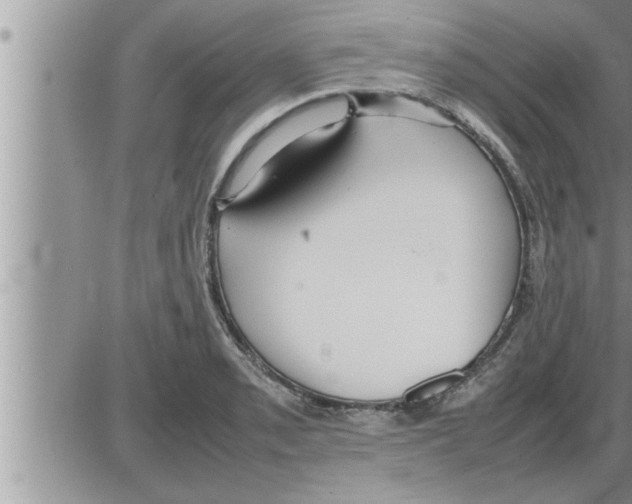 X0000086331085200704271936